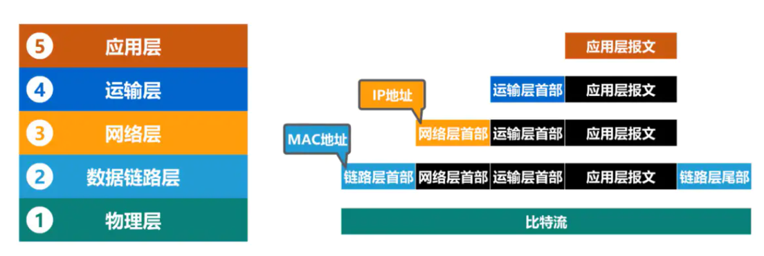 image-20220816202834891