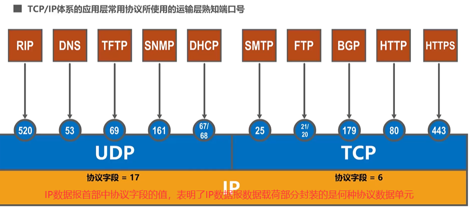 image-20220819152418117