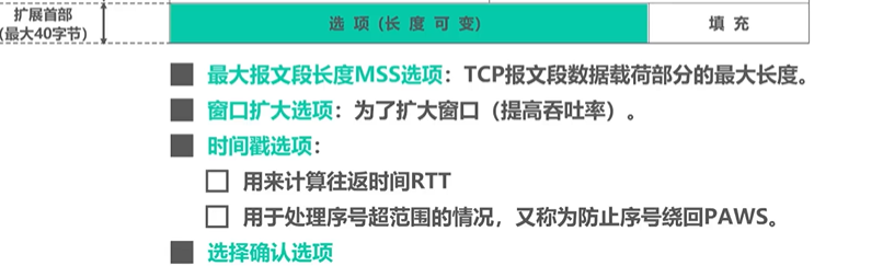 image-20220820050935140