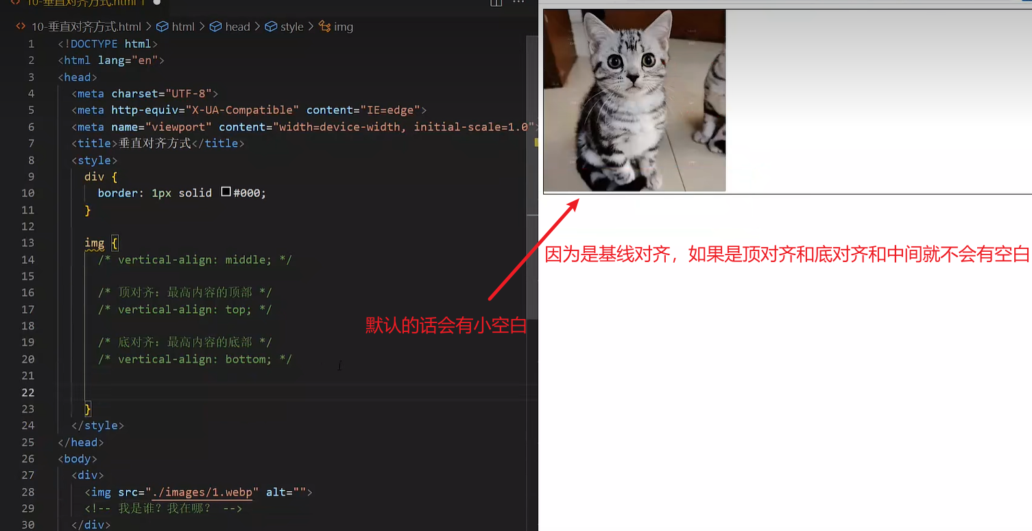image-20230515203031433