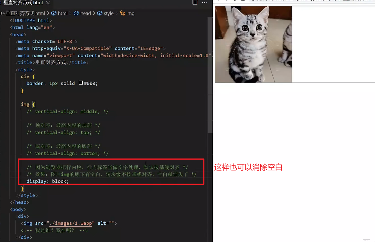 image-20230515203152404